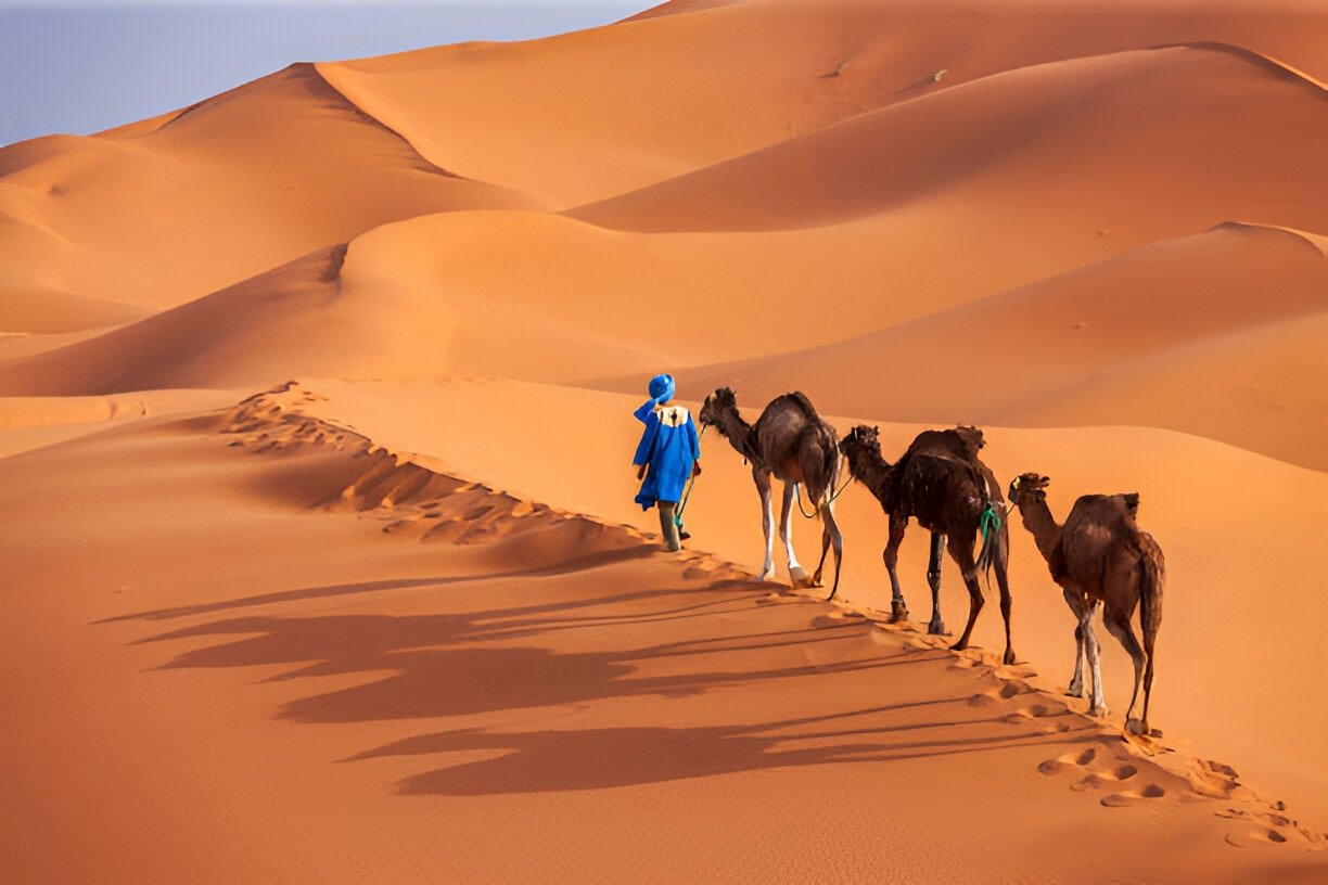 Youssef El Mansouri - Licensed Local Moroccan Tour Guide