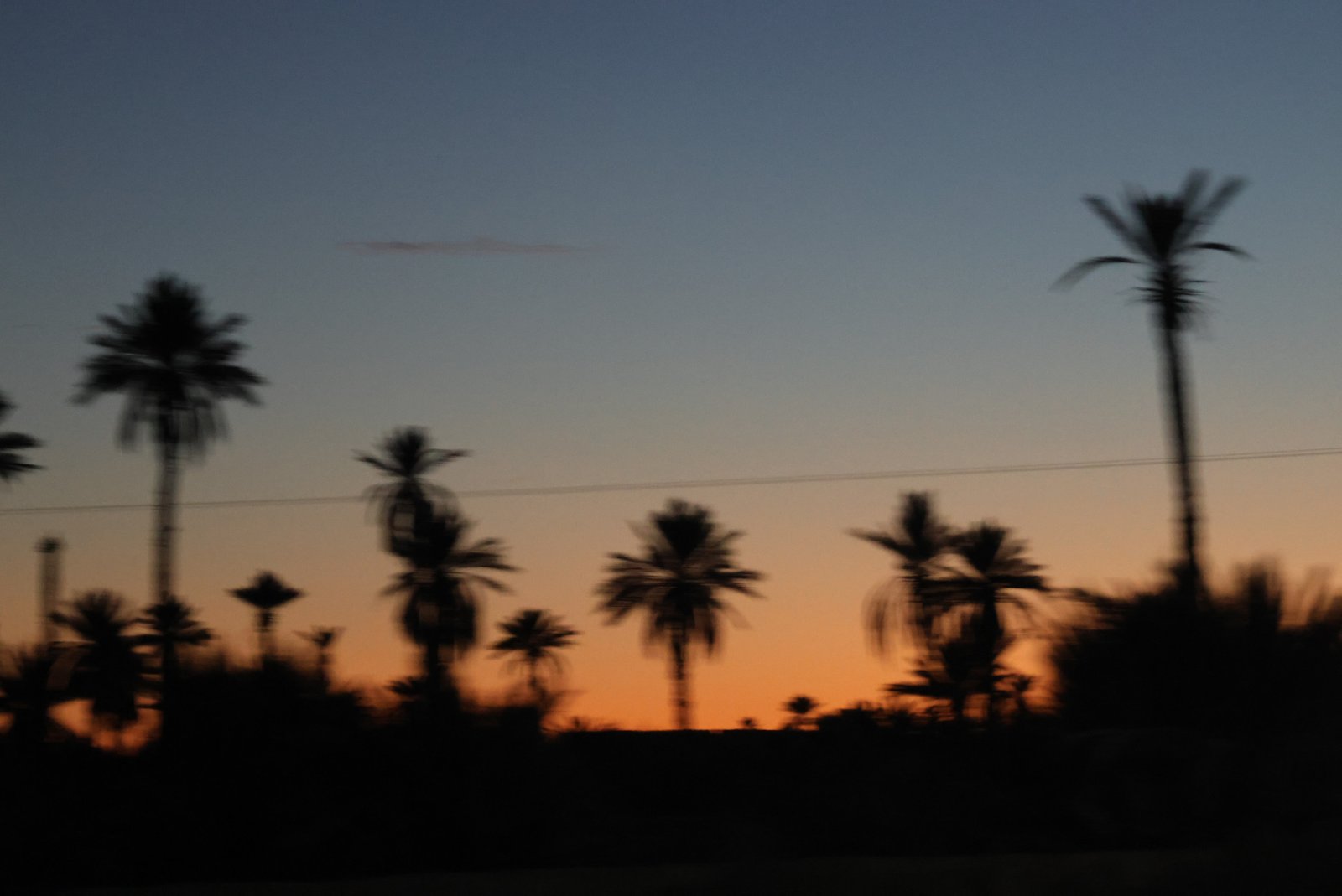 Silhouetted palm trees against a warm orange and blue sunset sky in a Moroccan oasis setting