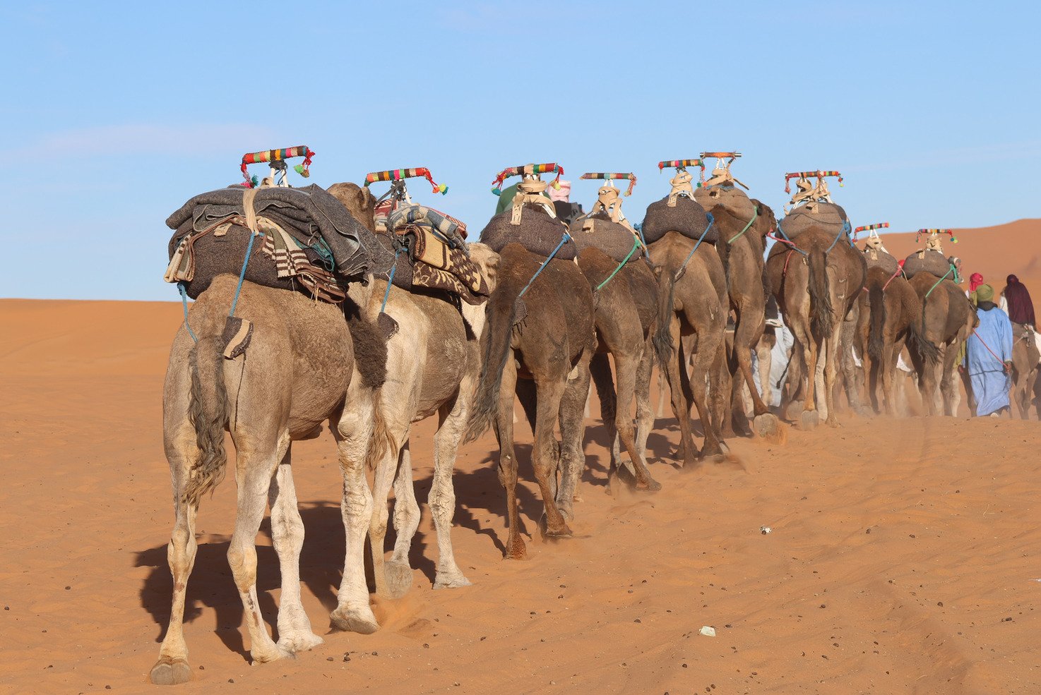 4-Day Fes to Merzouga Guided Desert Tour landscape and destination highlight photo experience